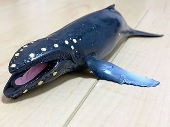 Amazon.co.jp: くじら&Co. WHALES&Co. ビッグ ザトウクジラ